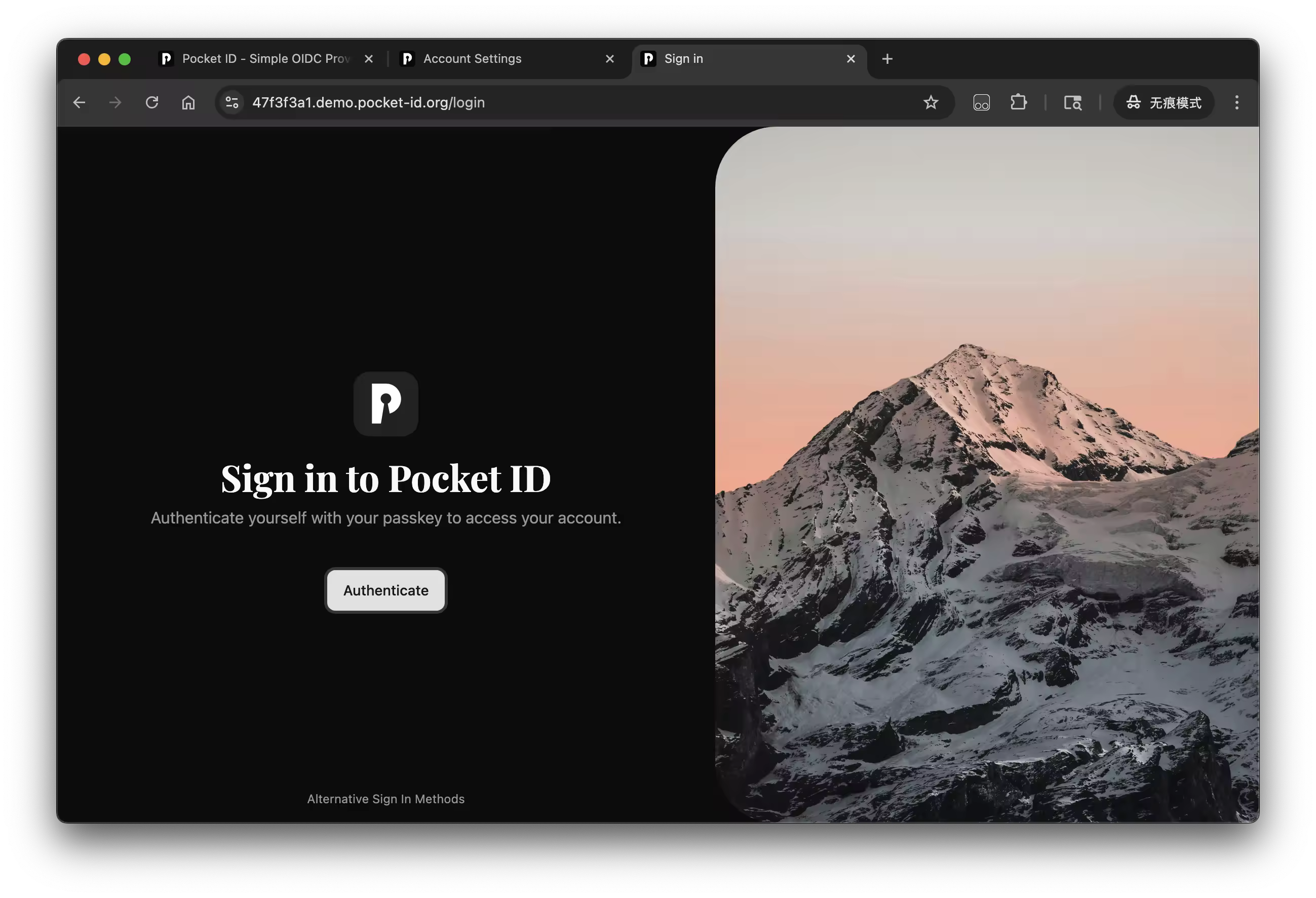 PocketID 作为 HomeLab 统一登录认证工具的首页界面