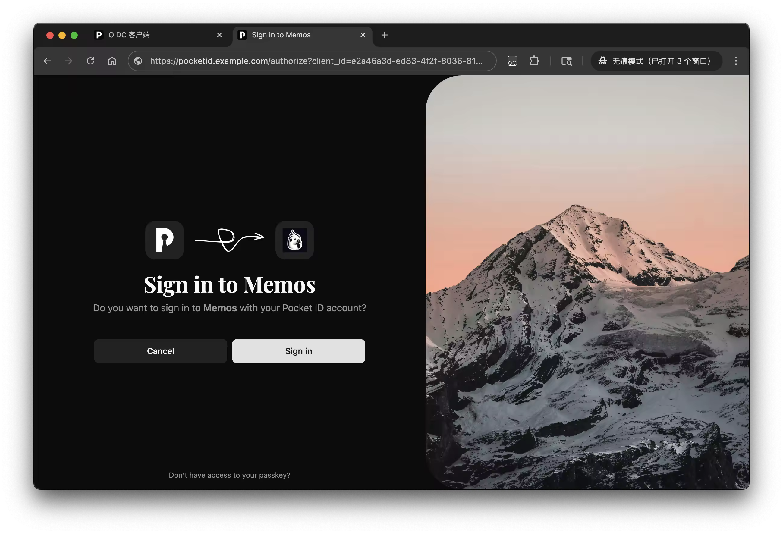 Memos 配置 PocketID 单点登录设置界面
