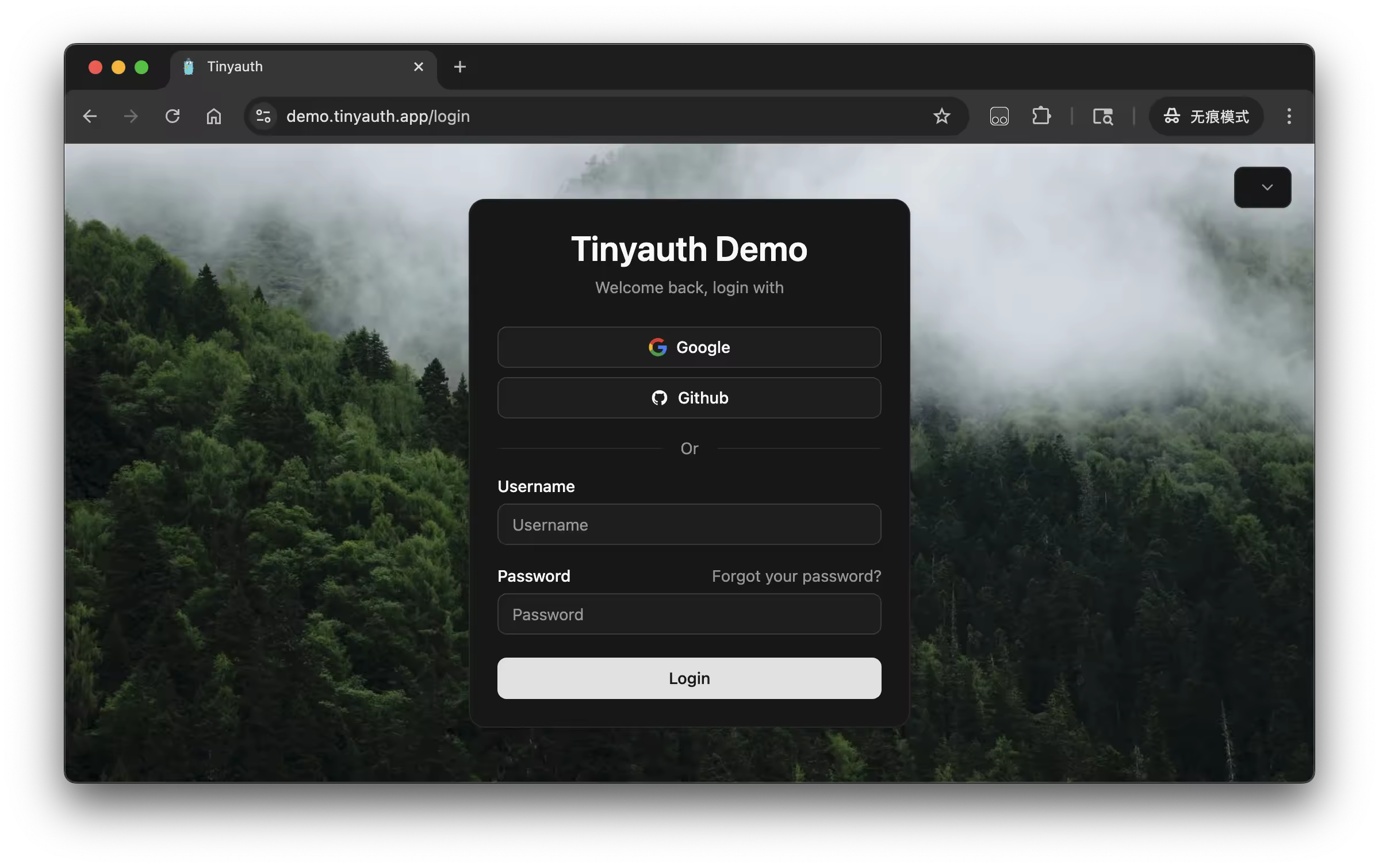 Tinyauth 轻量级鉴权工具主页界面展示